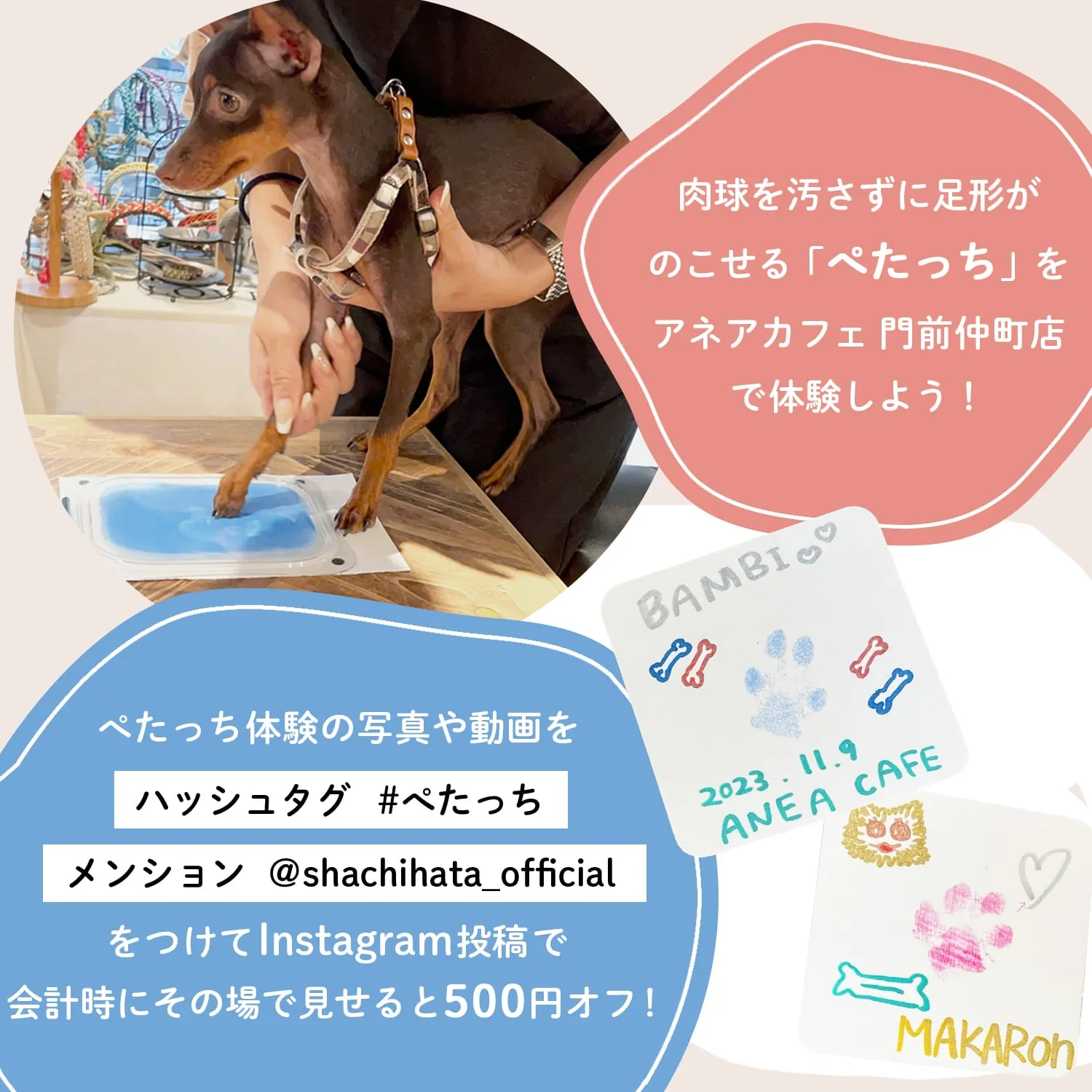 シヤチハタ株式会社 の写真 11